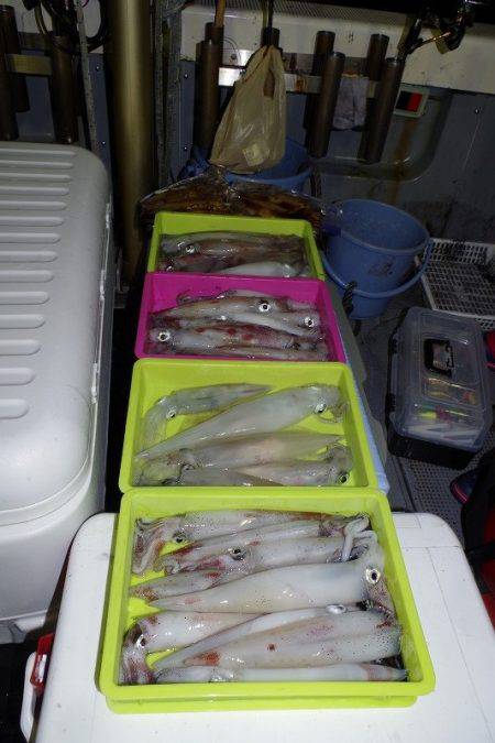 ハピネスⅡ 釣果