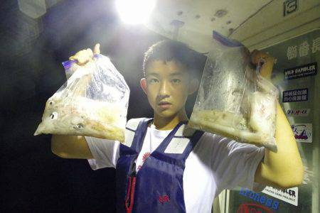 ハピネスⅡ 釣果