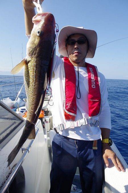 ハピネスⅡ 釣果