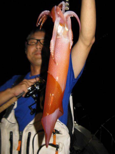 Aquanaut(アクアノート) 釣果