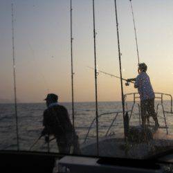 Aquanaut（アクアノート） 釣果