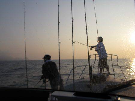 Aquanaut（アクアノート） 釣果