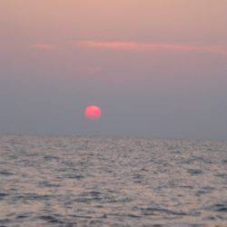 Aquanaut（アクアノート） 釣果