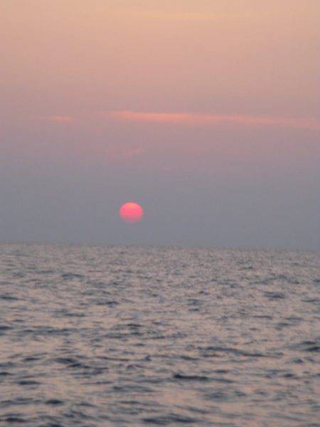 Aquanaut（アクアノート） 釣果