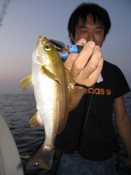 Aquanaut（アクアノート） 釣果