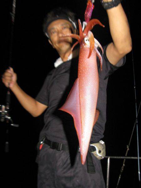 Aquanaut（アクアノート） 釣果