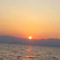 Aquanaut（アクアノート） 釣果