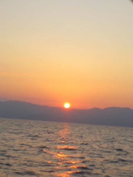 Aquanaut（アクアノート） 釣果