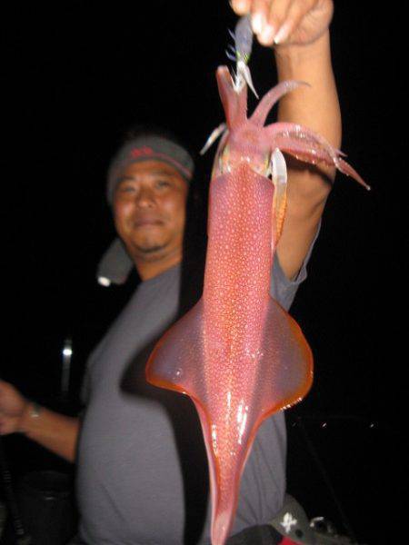 Aquanaut(アクアノート) 釣果