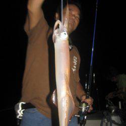 Aquanaut(アクアノート) 釣果