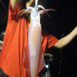 Aquanaut（アクアノート） 釣果