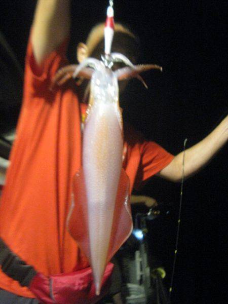 Aquanaut（アクアノート） 釣果