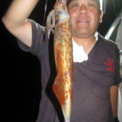 Aquanaut（アクアノート） 釣果