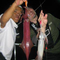 Aquanaut（アクアノート） 釣果