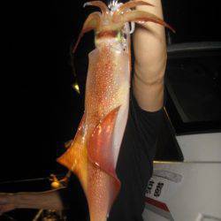 Aquanaut（アクアノート） 釣果