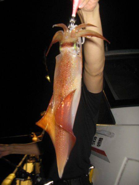 Aquanaut（アクアノート） 釣果