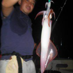 Aquanaut（アクアノート） 釣果