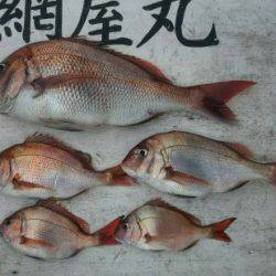 網屋丸 釣果