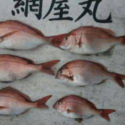 網屋丸 釣果