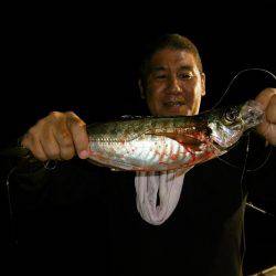 ハピネスⅡ 釣果