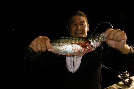 ハピネスⅡ 釣果