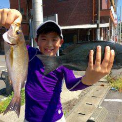 鵜来島家本渡船 釣果