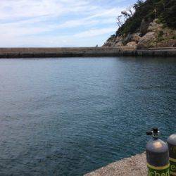 鵜来島家本渡船 釣果