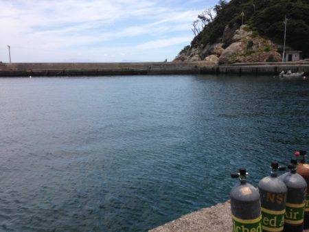 鵜来島家本渡船 釣果