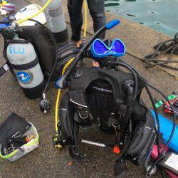 鵜来島家本渡船 釣果