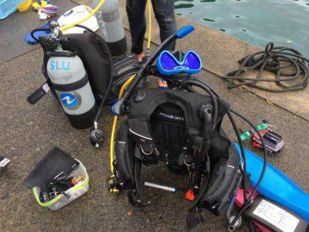 鵜来島家本渡船 釣果