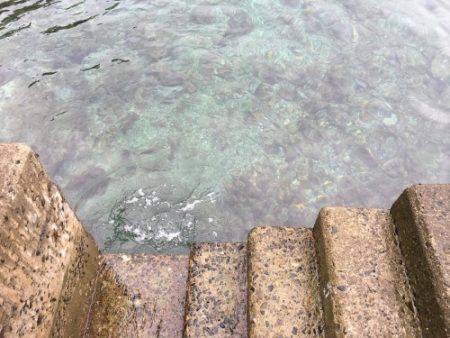 鵜来島家本渡船 釣果