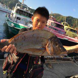 鵜来島家本渡船 釣果