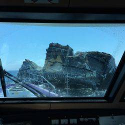 鵜来島家本渡船 釣果