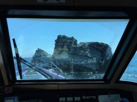 鵜来島家本渡船 釣果