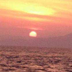 鵜来島家本渡船 釣果