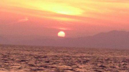 鵜来島家本渡船 釣果