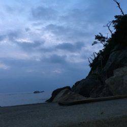 鵜来島家本渡船 釣果