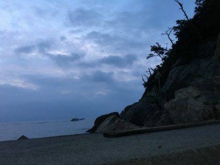 鵜来島家本渡船 釣果