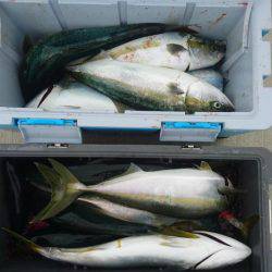 気仙沼 つり丸 釣果