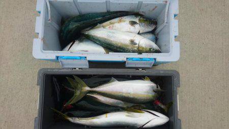 気仙沼 つり丸 釣果