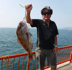 神戸市立平磯海づり公園　マダイ　記録賞！ 	79㎝