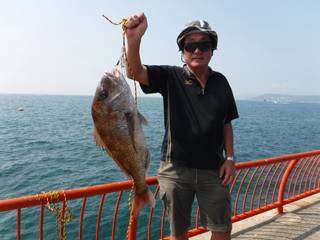 神戸市立平磯海づり公園　マダイ　記録賞！ …