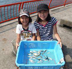 神戸市立平磯海づり公園 サビキでアジ、イワシ