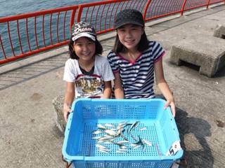 神戸市立平磯海づり公園　サビキでアジ、イワ…