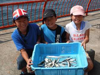 神戸市立平磯海づり公園　サビキでアジ、イワ…