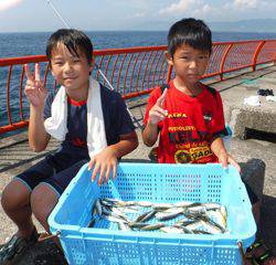 平磯海づり公園　サビキ釣果