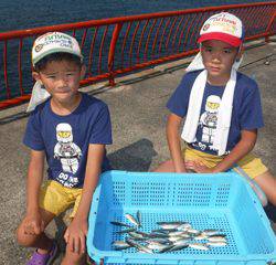 神戸市立平磯海つり公園　サビキでアジ