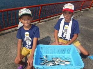 神戸市立平磯海つり公園　サビキでアジ