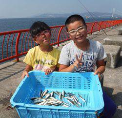 神戸市立平磯海づり公園　サビキでアジ、イワシ
