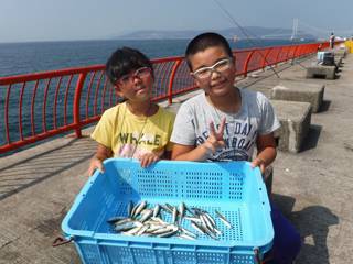 神戸市立平磯海づり公園　サビキでアジ、イワ…